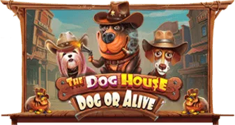 The Dog House — Dog or Alive