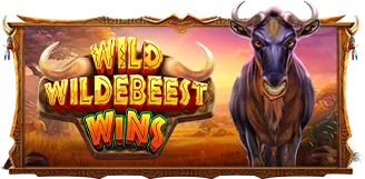 Wild Wildebeest Wins