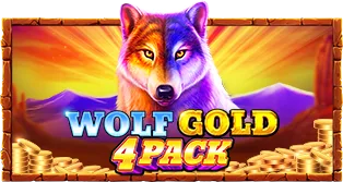 Wolf Gold 4 Pack